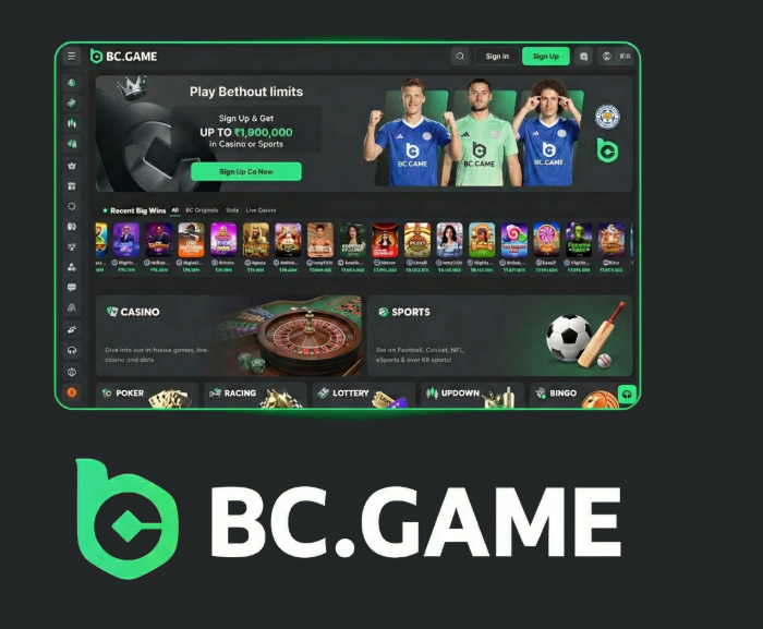 How to Navigate the BC.Game Registration Process Efficiently
